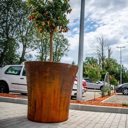 VOGUE-ROND-CORT