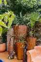 2025-DESIGN-CORTEN (4).webp
