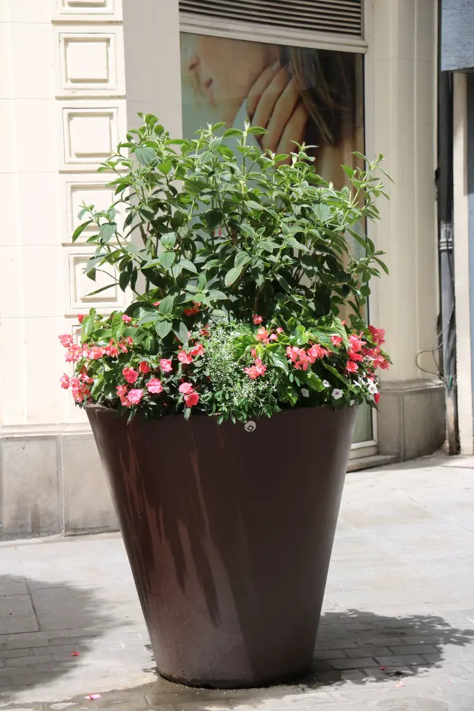 2022 VASE (6).webp