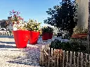 2021-VASE (8).webp