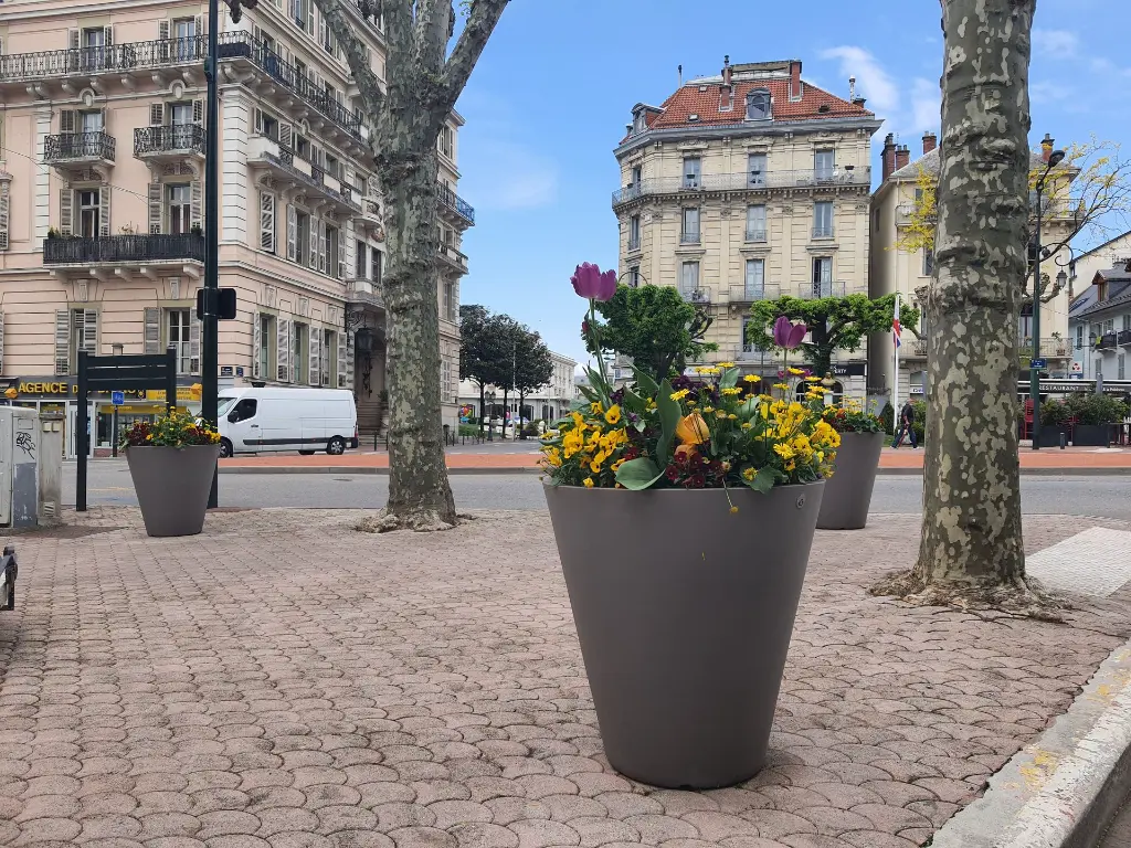 2021-VASE (4).webp
