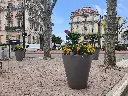 2021-VASE (4).webp