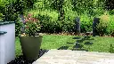 2021-VASE (18).webp