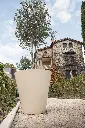 _ACJ3048.webp