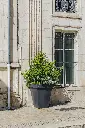 PAPI_ORLEANS_22.webp