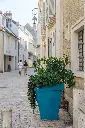 PAPI_ORLEANS_31.webp