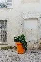 PAPI_ORLEANS_24.webp