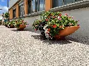 2022-ELIPSO (1).webp