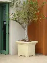 PCL (7).webp