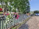 2021-BAL (6).webp