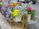 BALCONNIERE GALB (3).webp