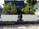 BALCONNIERE JAR (6).webp