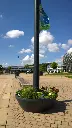 CONTOUR D ARBRE (16).webp