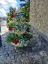2022- CASCADE (3).webp