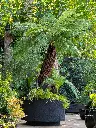 IMG-20261013-WA0014.webp