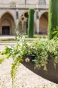 PAPI_ROYAUMONT_HD_38.webp