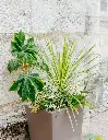 PAPI_ROYAUMONT_HD_46.webp