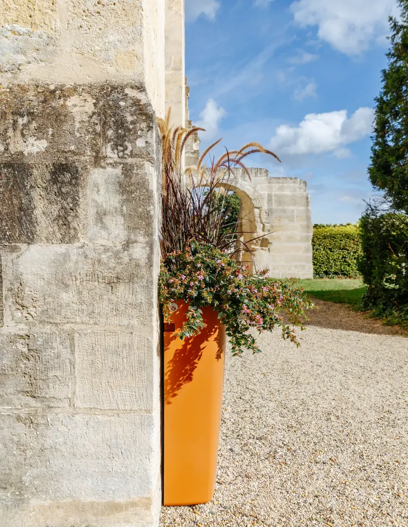 PAPI_ROYAUMONT_HD_34.webp