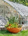PAPI_ROYAUMONT_HD_59.webp