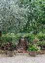 PAPI_ROYAUMONT_HD_67.webp