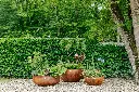 PAPIxMANO_24.webp