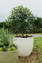 PAPI_MOBILIER_MESNIL_59.webp