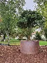 2021 RODEO CORTEN (1).webp