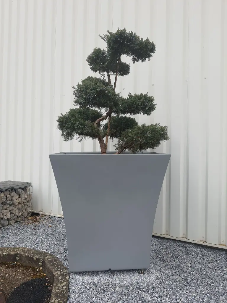 2023-VOG-C-800 (3).webp
