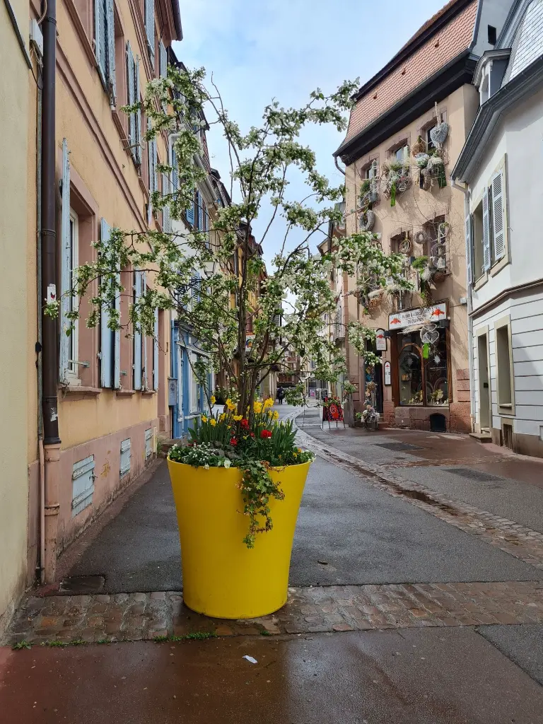 2022-VOGUE-COLMAR.webp