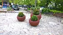 MINIMO CORTEN (3).webp