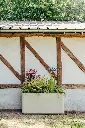 PAPIxMANO_51.webp