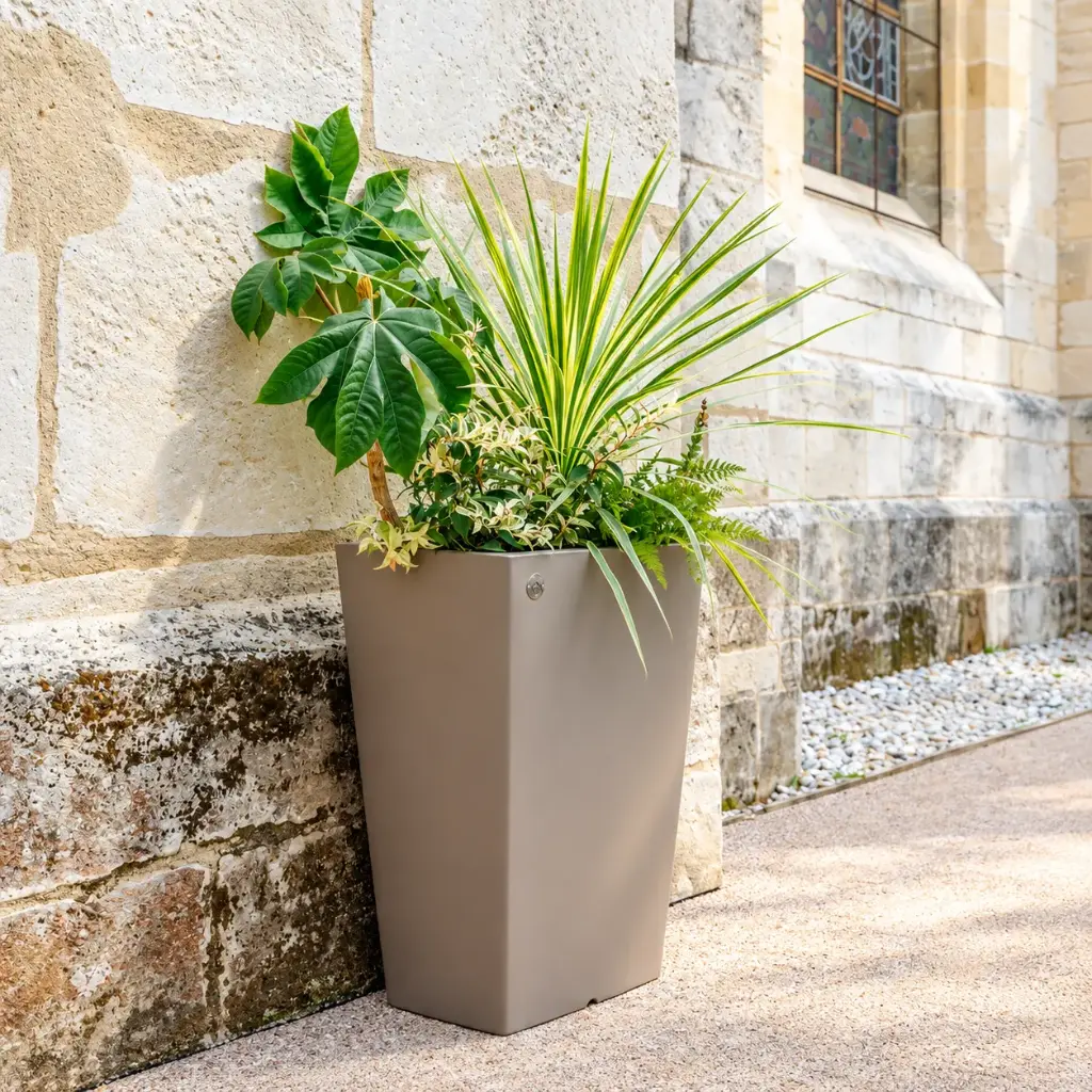 Pot Design Rectangle