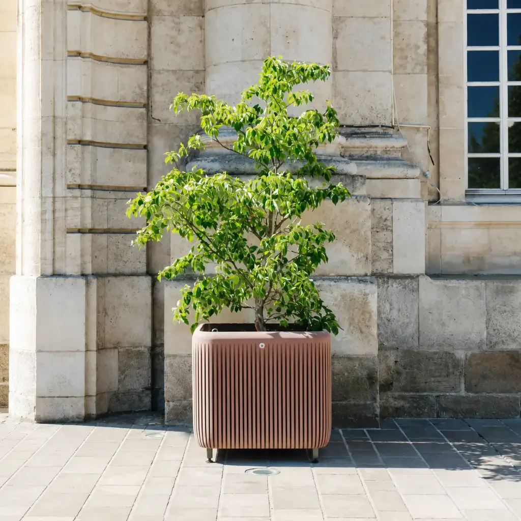 ORA Orangery Planter