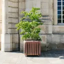 Bac d'orangerie Ora
