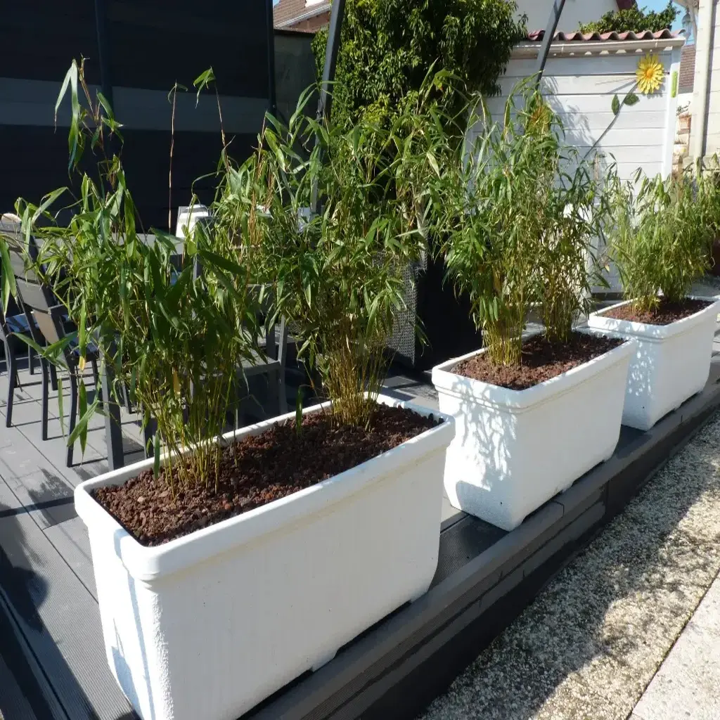 Jardinière Viva - aspect pierre