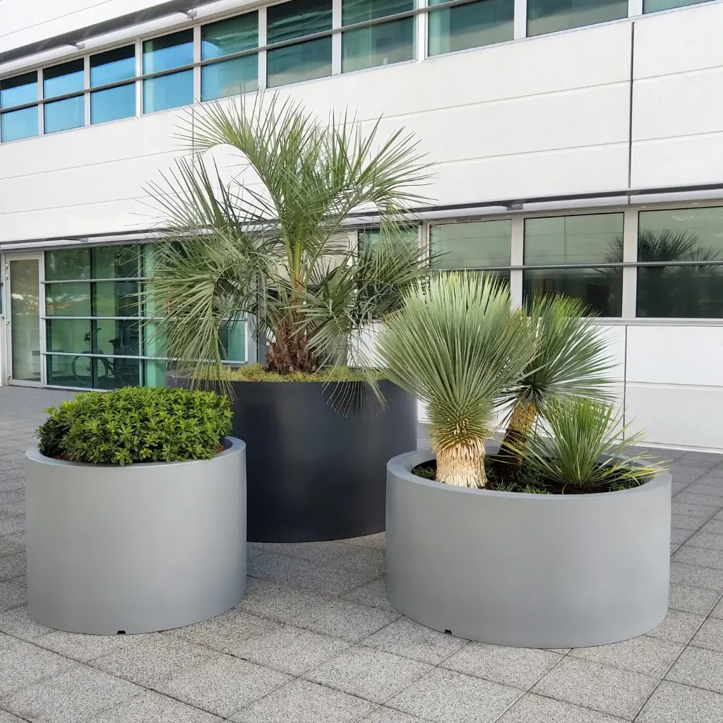 Rodéo Planter