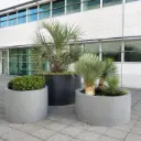 Pot Rodéo