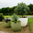 Pot Dune