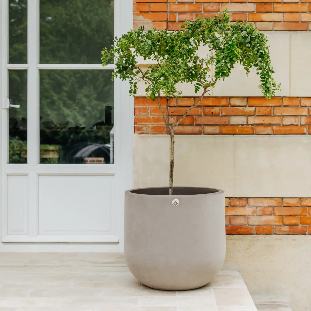 Pot Lune