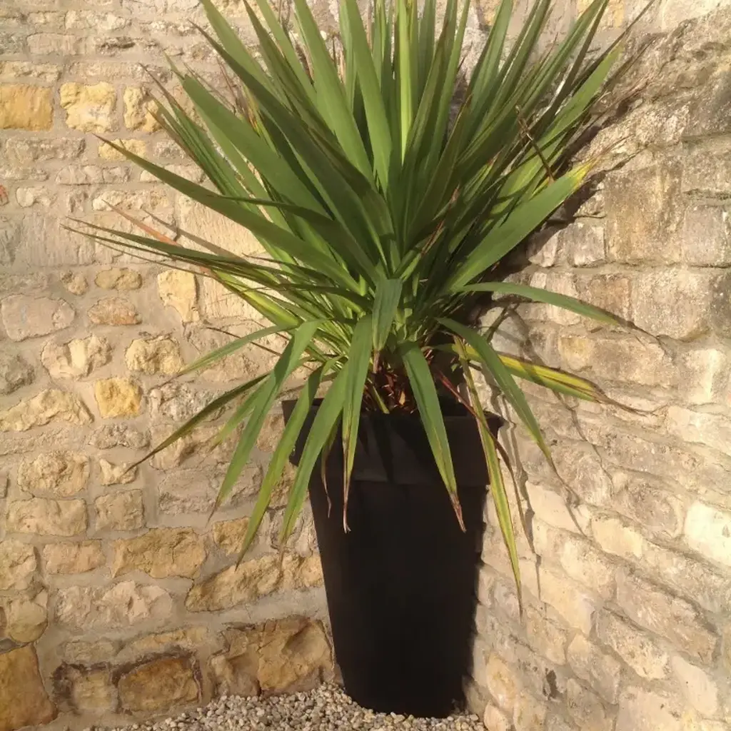 Deco quarter planter