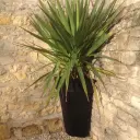 Deco quarter planter