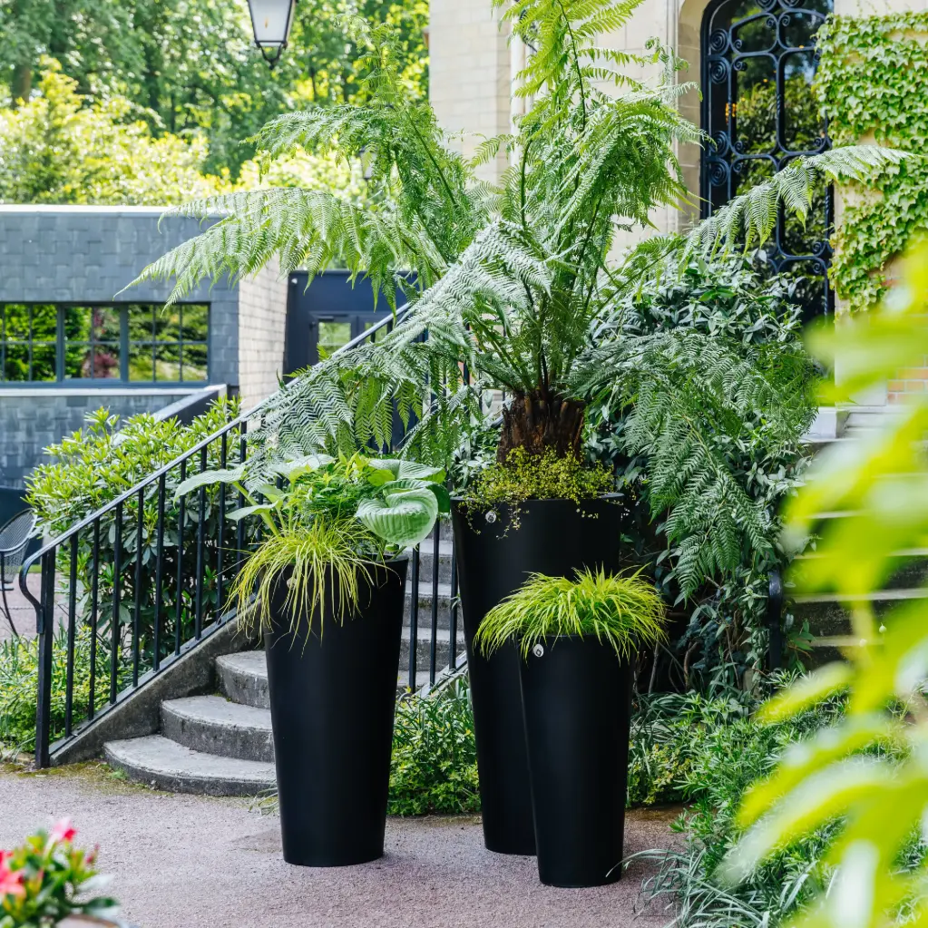 Pot Design Rond