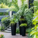 Pot Design Rond