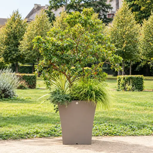 [VOG C] Vogue Square Planter