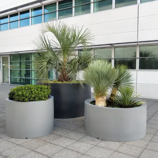 [RODEO] Rodéo Planter
