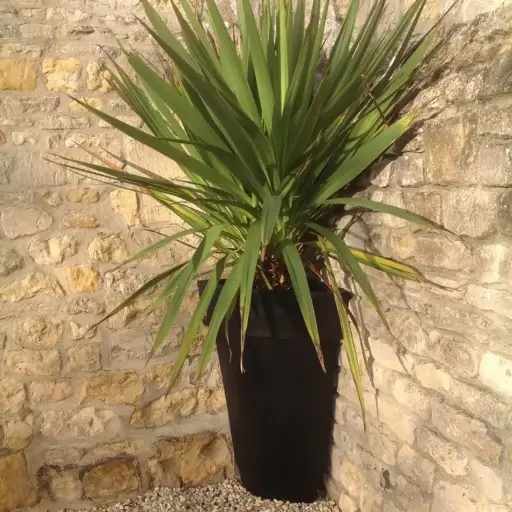 [QUART DECO] Quart de Pot Déco